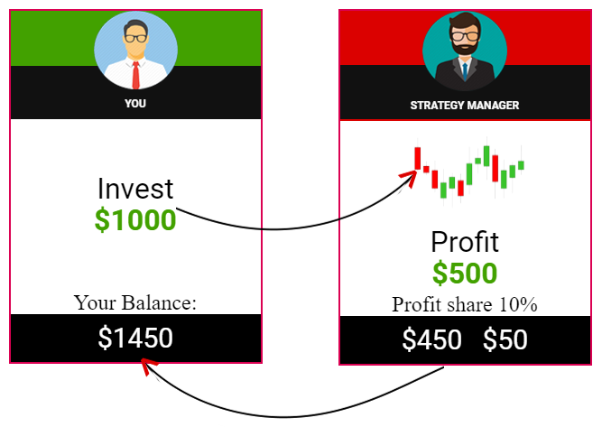 Social Mining Program